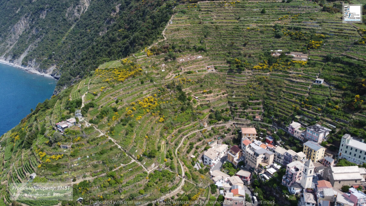 GreenHeritage 5th case study: Art of dry stone walling, knowledge and techniques in Cinque Terre, Italy